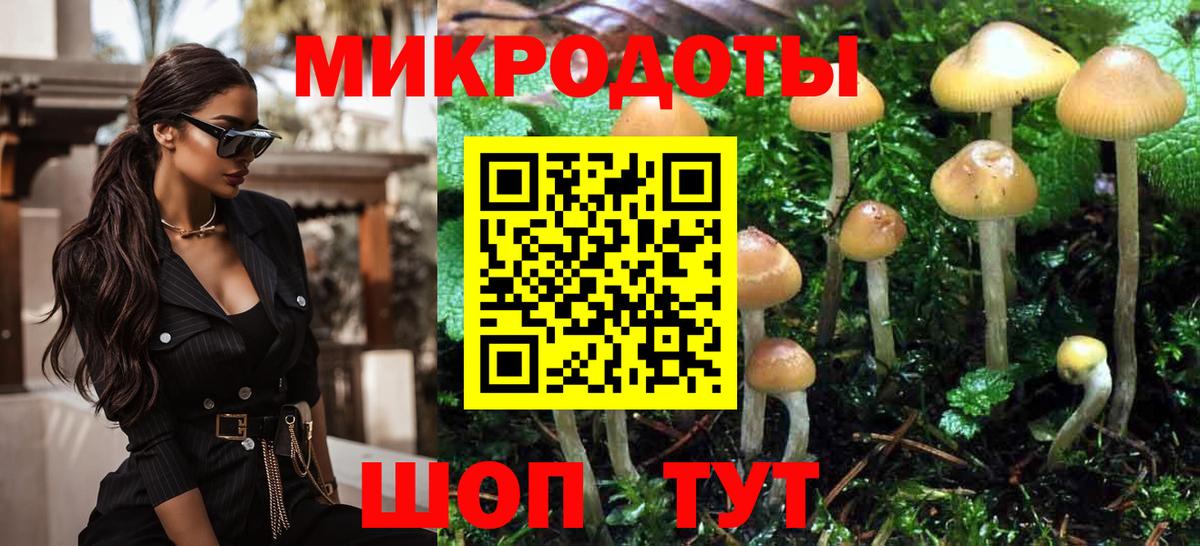 Новоалександровск  Галлюциногенные грибы мицелий  Вход с VPN 