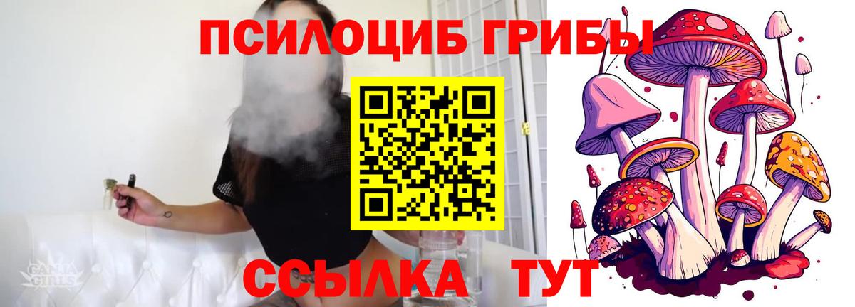 Галлюциногенные грибы Cubensis Новоалександровск